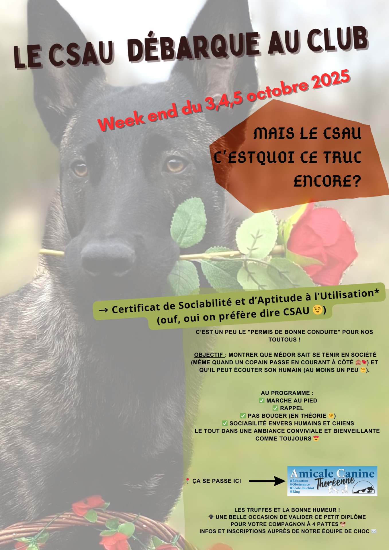 Csau