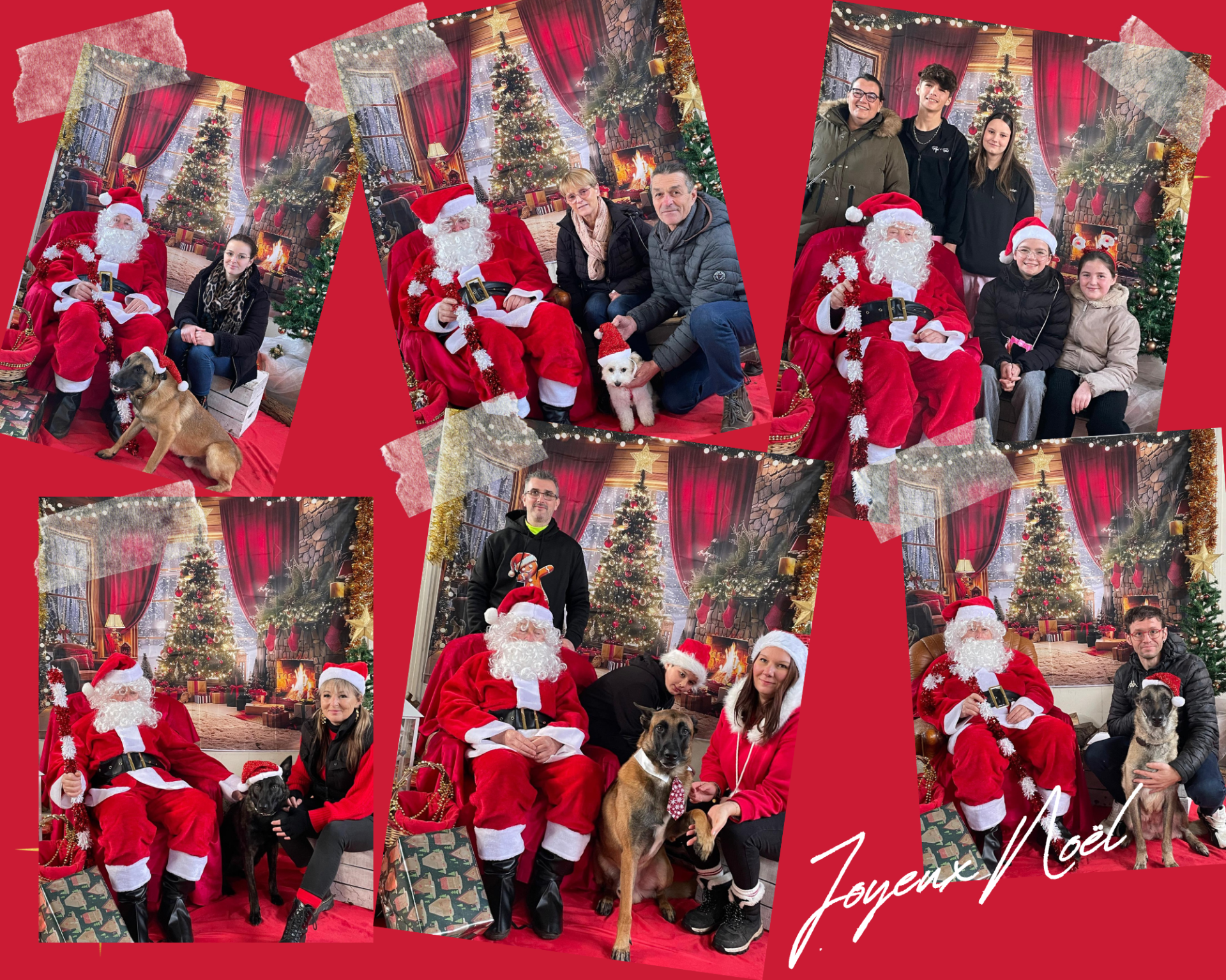 Portes ouvertes Noel Amicale Canine Thoréenne