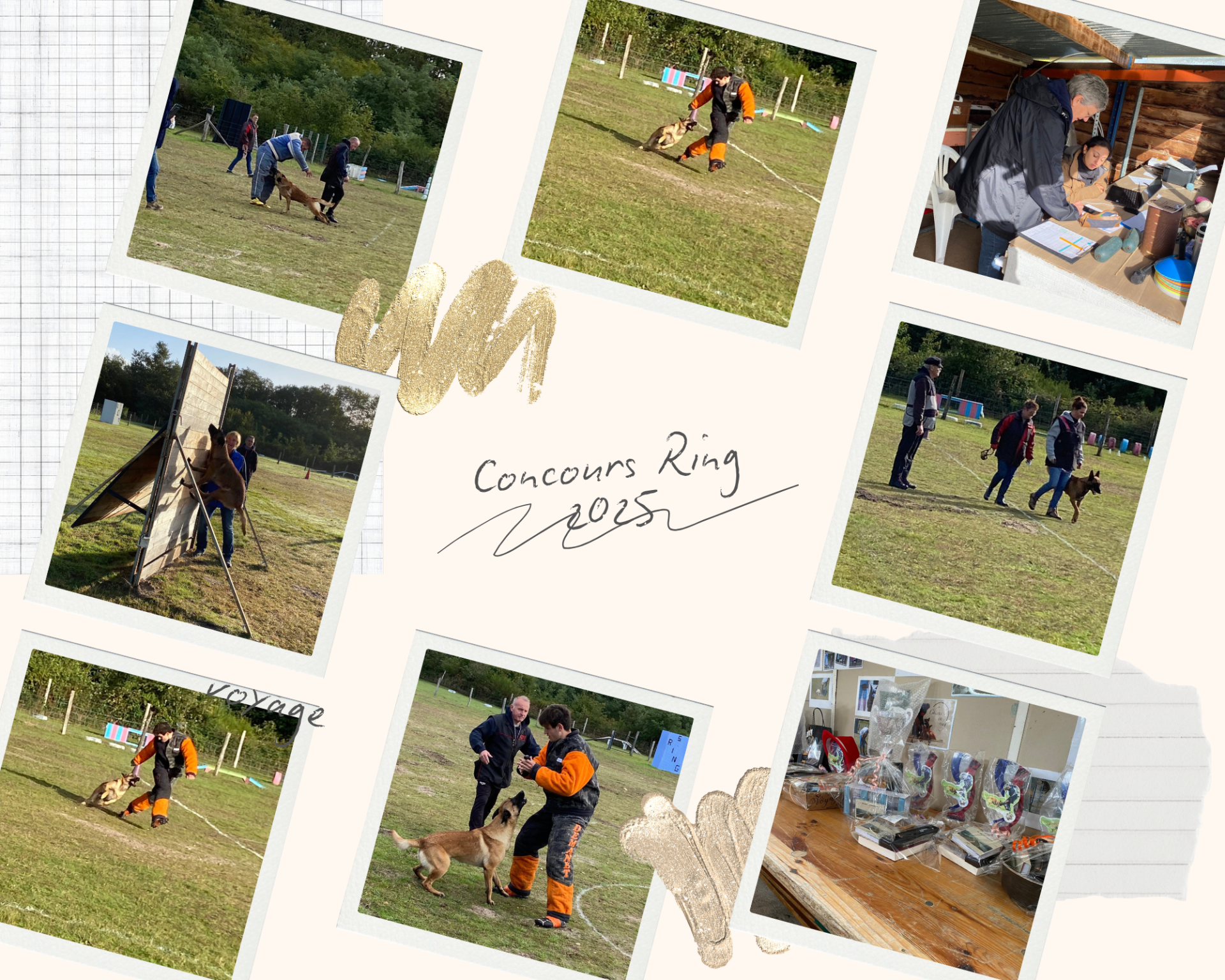 Concours ring 2025